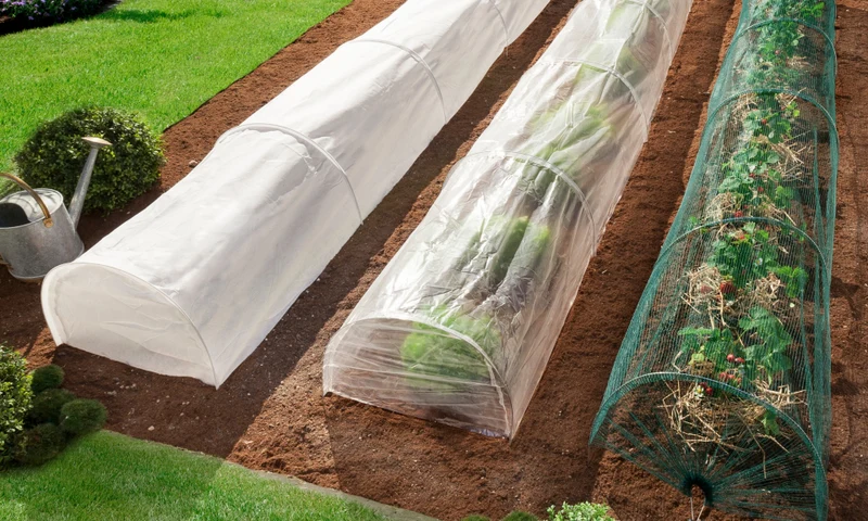 Serres tunnels de forcage avec housse 4M toutes saisons - Lot de 3