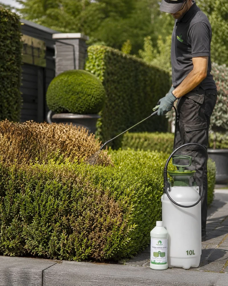 Colorant naturel pour gazon & végétaux concentré - résultat immédiat - vert forêt - 400ml