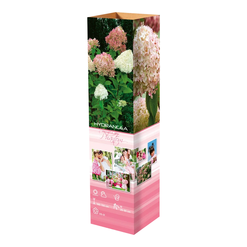 Lot de 8 hortensias : 2 roses blancs, 2 roses, 2 bleus, 2 blancs - 30-38 cm