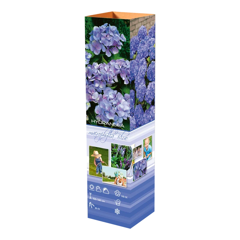 Lot de 8 hortensias : 2 roses blancs, 2 roses, 2 bleus, 2 blancs - 30-38 cm
