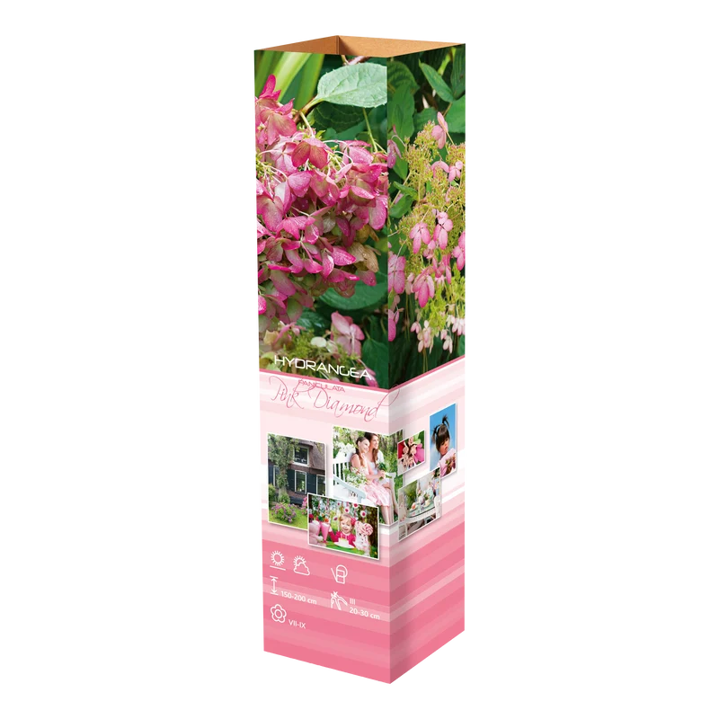 Lot de 8 hortensias : 2 roses blancs, 2 roses, 2 bleus, 2 blancs - 30-38 cm
