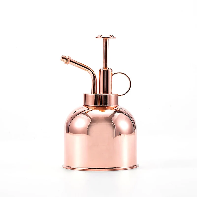 350ML Mini arrosoir plante arrosoir vaporisateur Style nordique Vintage outils de jardinage douches pour plantes aquatiques fleurs