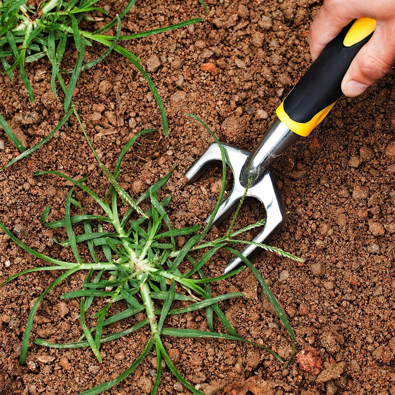 3 pièces/5 pièces outils de jardin en alliage d'aluminium pelle râteau truelle cultivateur pelouse terres agricoles jardinage bonsaï outils trousse d'outils à main