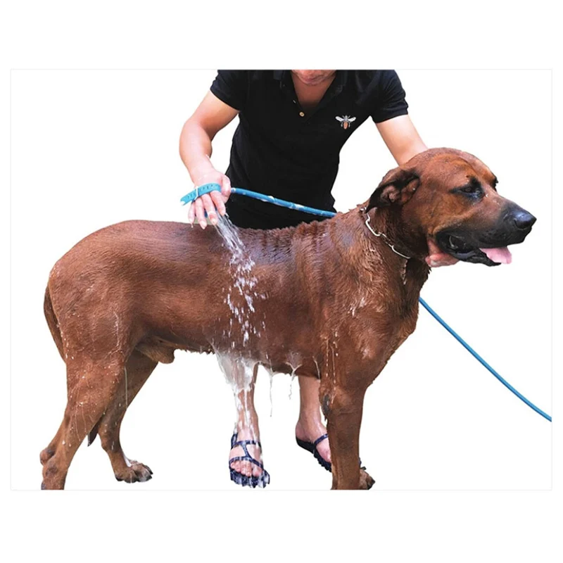 Outil de tête de bain pour animaux de compagnie à main masseur pommeau de douche nettoyage pulvérisateur de lavage Portable douche chien bain brosse de Massage fournitures pour animaux de compagnie