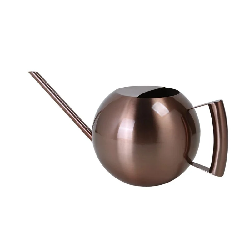 1000ML en acier inoxydable arrosoir ménage arrosoir bouilloire outils de jardinage pour jardin fleurs plantes Veb dispositif d'arrosage
