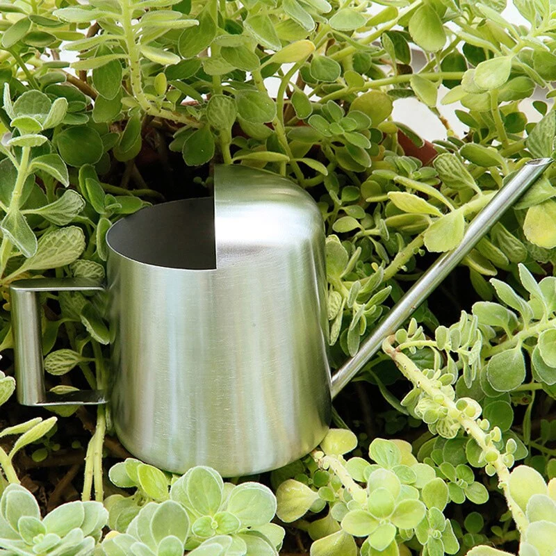 500ML acier inoxydable arrosoir outils de jardinage longue bouche ménage arrosoir pour fleurs plantes jardin arrosage