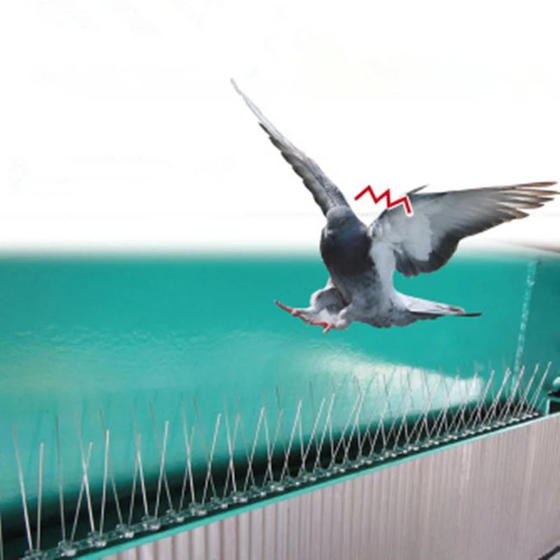 2.5M Pointes en plastique pour oiseaux et pigeons Anti-pigeons anti-oiseaux pour se débarrasser des pigeons et des oiseaux d'effarouchement
