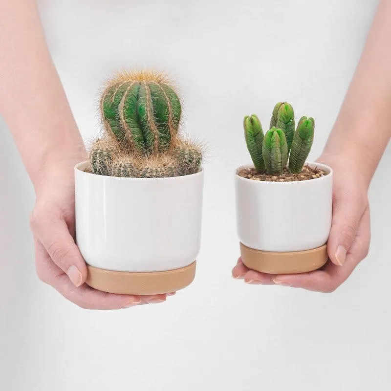 Maison Jardin Décoration Flowet Pot Creative Double couche Planteur Imitation Céramique En Plastique Planteur Absorption D'eau Automatique