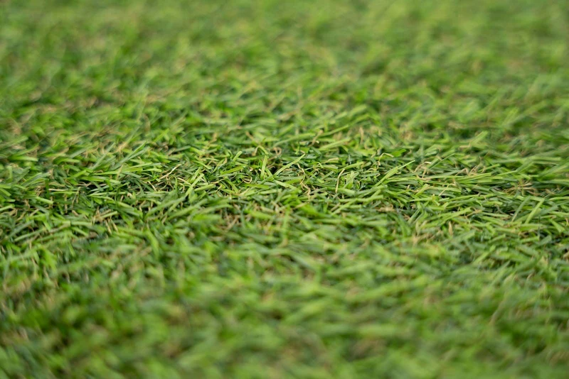 Gazon synthétique Alina Lime - 22mm