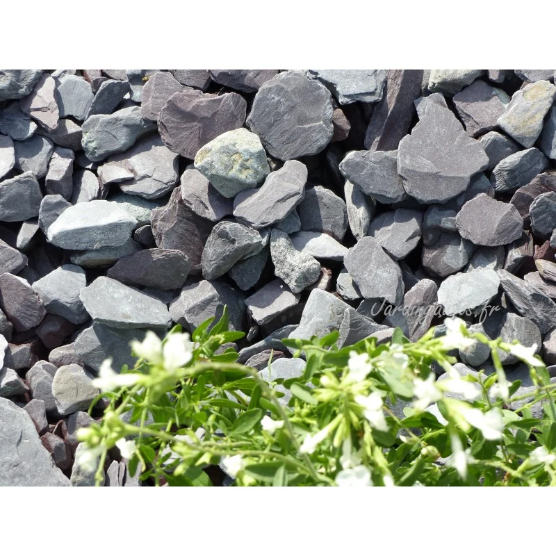 Paillage d'ardoise violine 30/50