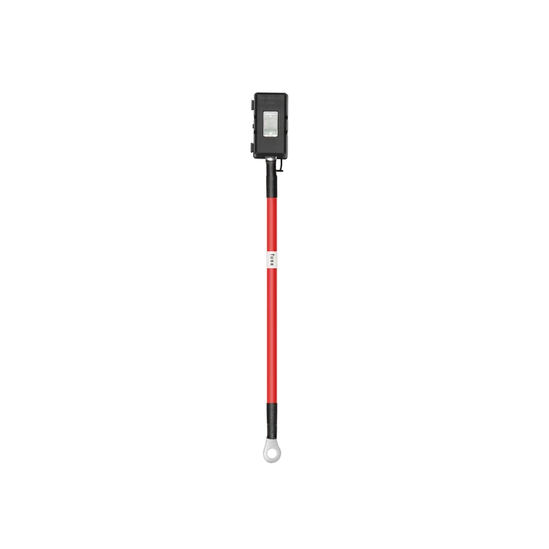 EcoFlow Chargeur d’alternateur Câble fusible