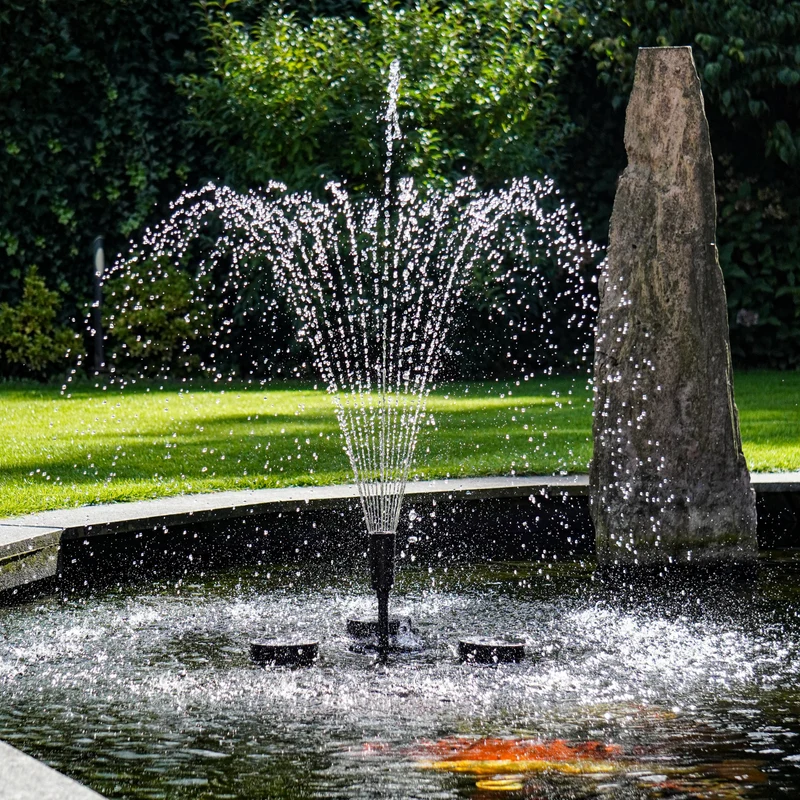 BluSkimmer 2 500 - Skimmer flottant avec ensemble fontaine
