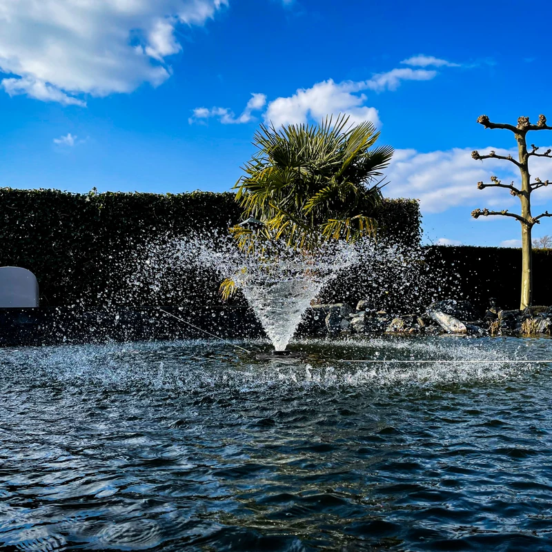 BluFountain 20.000 - Fontaine flottante - Aération bassin - Jet de 3m de large - Câble de 20m - Noir