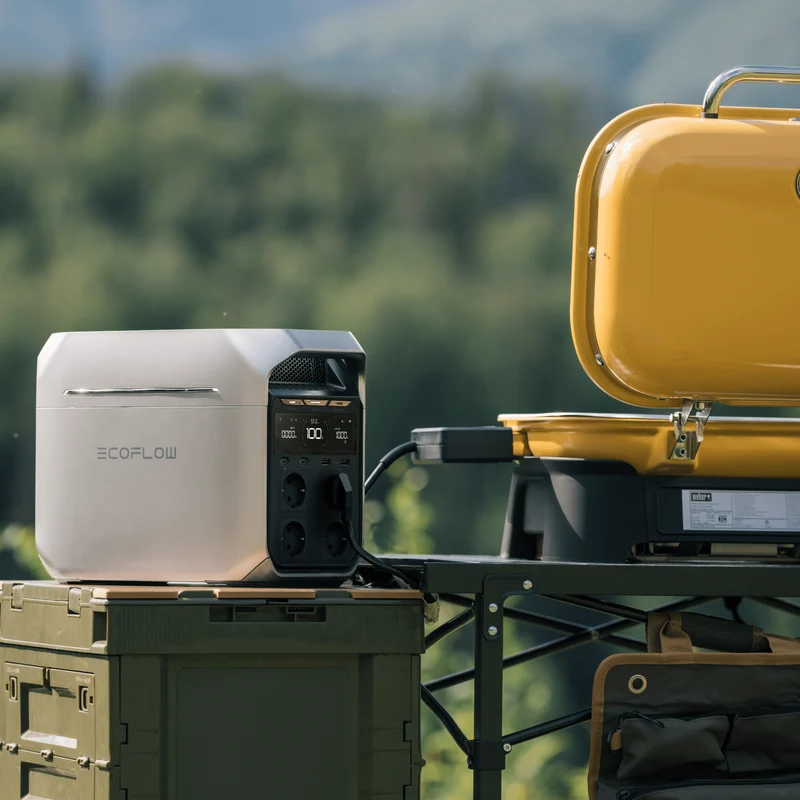 Générateur solaire de la gamme EcoFlow DELTA 3 (PV 220W)