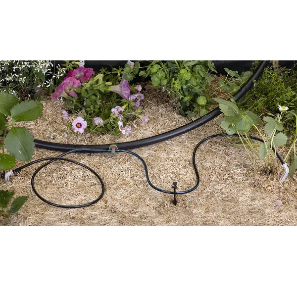 Ensemble arrosage capilaire