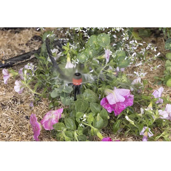 5 micro arroseurs sur pic