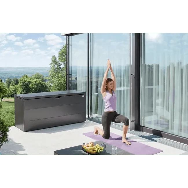 Biohort – StyleBox baúl metálico de diseño para exterior Gris cuarzo metálico