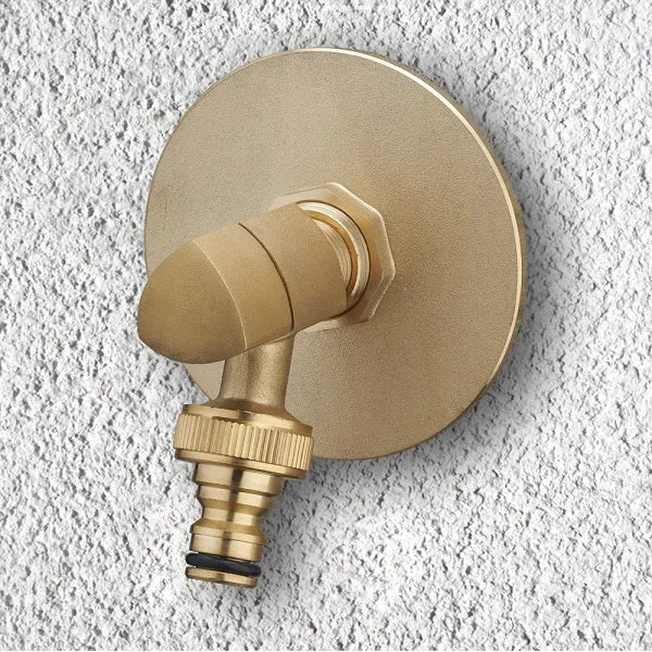 Platine Robinet de Jardin Laiton