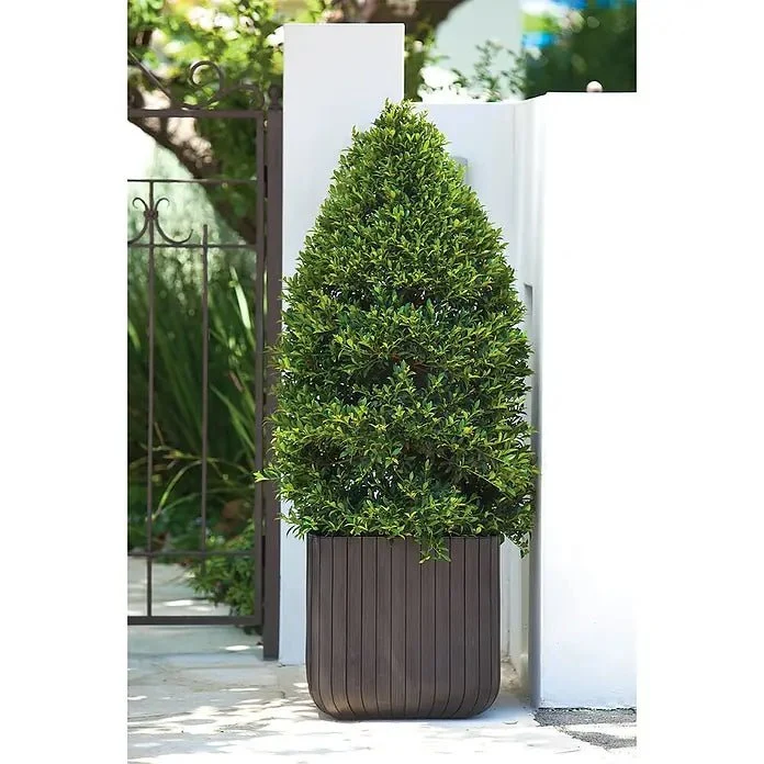 Keter - Maceta de jardín Cube Box 50L marrón