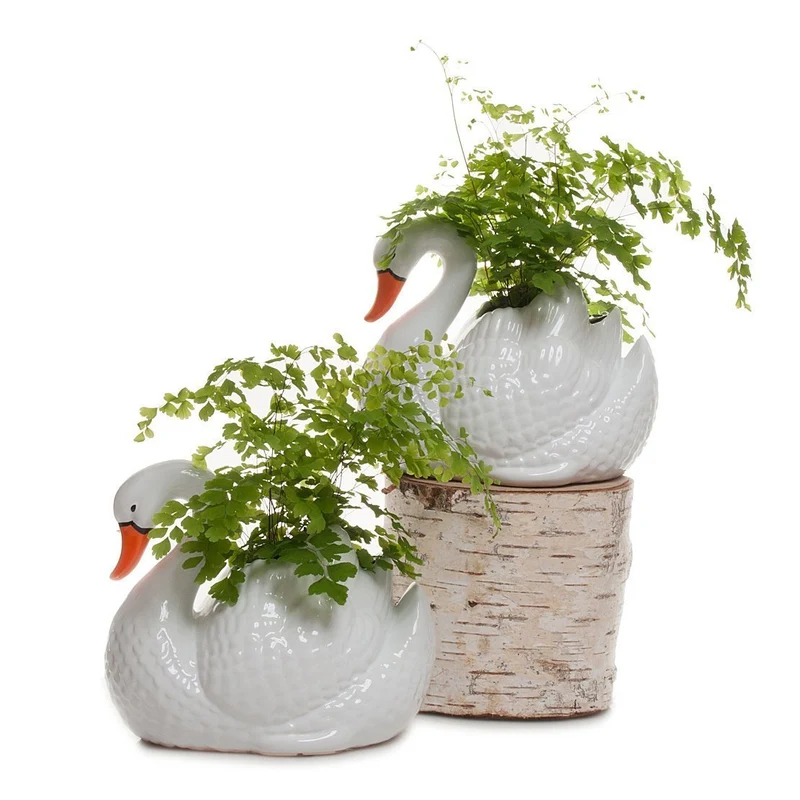 White Swan Planter