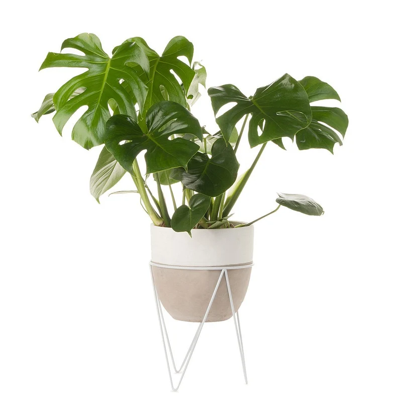 Concrete Planter With Stand