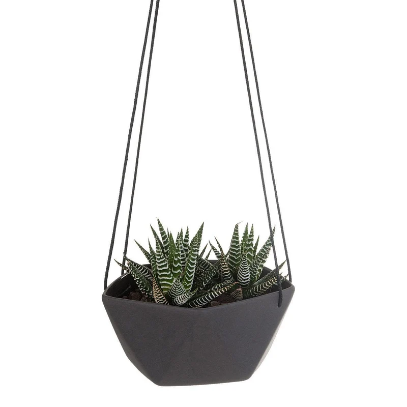 Geo Succulents Hanging Planter