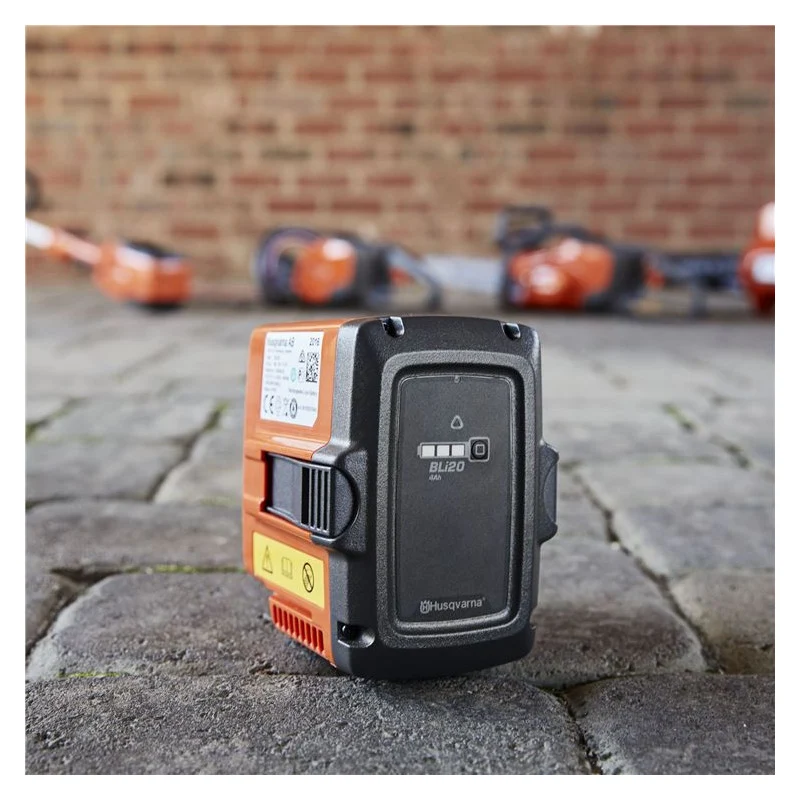 BATTERIE Bli20