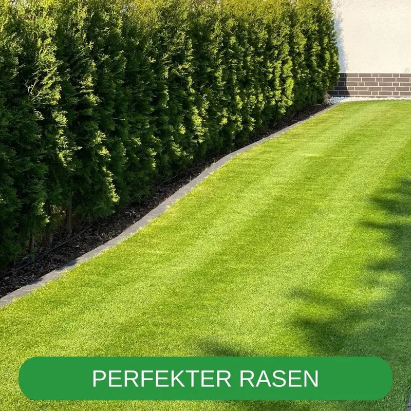 RISISANI Premium Rasenrakel XXL-160 en acier inoxydable